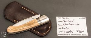     Couteau " Sonix " custom par Frédéric Augé - Mammouth et RWL34