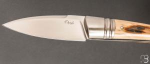     Couteau " Sonix " custom par Frédéric Augé - Mammouth et RWL34