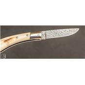 Couteau de poche Minus phacochère par Erwan Pincemin