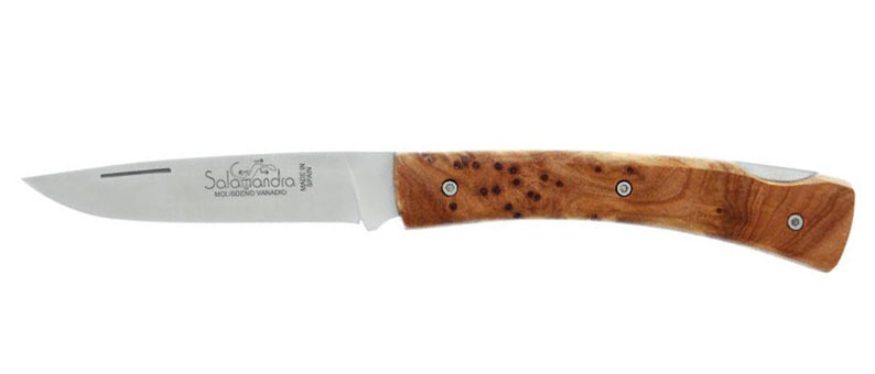 Couteau de poche à pompe 10cm Loupe de Thuya HB_64213