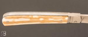 Couteau " Pièce unique " par Laurent Gaillard - Bois de cerf teinté et 14C28N