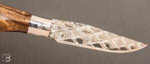  Couteau " Sgrigua " par Roberto Ottonello - Bocote et Damas