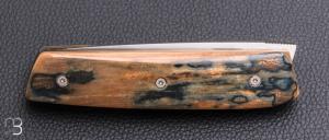    Couteau " liner-lock " custom par Christophe Arbogast - Ivoire de mammouth et lame en RWL34