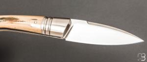     Couteau " Sonix " custom par Frédéric Augé - Mammouth et RWL34