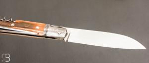      Couteau " Issoire 3 pièces " par David Brenière - Mammouth / damas et RWL34