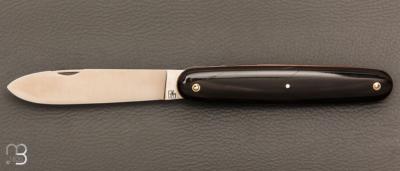    Navette de collection par Adrien Vautrin - Acier inoxydable 14c28N et corne de buffle