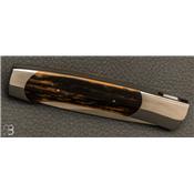 Couteau pliant Self-lock semi-interframe avec inserts en mammouth par Scott Sawby