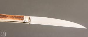 " La Princesse " par Bastien Toubhans - Atelier Beau Merle - Ivoire de Mammouth et RWL34