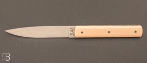 Coffret de 4 couteaux de table 9.47 manche façon ivoire par Perceval