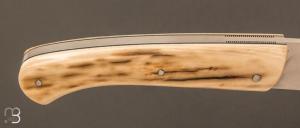 Couteau "  Coriass " custom par Frédéric Augé - Mammouth stabilisé et RWL-34