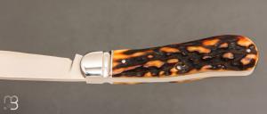    Couteau  " Dogleg Jack " custom par Dr David Taber - Amber Stag