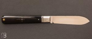 Couteau " Pradel " RWL-34 et corne de zébu par Romain Alvarez