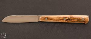 Couteau " 5 Coqs " à bascule ivoire de mammouth par Robert Beillonnet