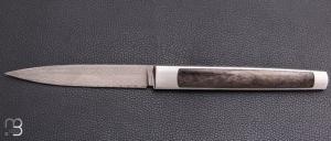  Couteau " APEX " custom de Lionel Lalague - Fatcarbon et Damasteel