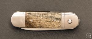  Couteau " Bouledogue " liner-lock de Stéphane Sagric - Os teinté et lame en RWL34