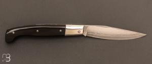 Couteau  "  Sarde  " custom par Erwan Pincemin - Corne de buffle et lame en VG10 Suminagashi