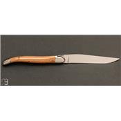  Coffret de 6 couteaux de table LAGUIOLE manches bois assortis par Forge de Laguiole