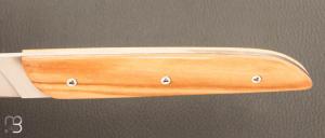 Coffret de 6 couteaux de table par LEPAGE - Bois assortis et 12C27