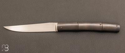 Couteau " Bamboo  " slipjoint par Petr Hofman - Titanium / or 24K  et RWL34