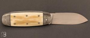 Couteau  "  Bouledogue " custom par David Breniere - Os de chameau et 80Crv2