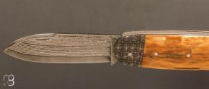   Couteau " Bulldog " mammouth et damas par Thomas Chovin