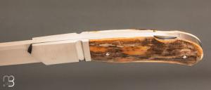   Couteau " Lock-back" custom pliant par Mathis Poujol - Ivoire de mammouth et RWL34