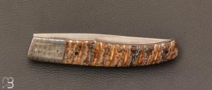   Couteau " P45 " de collection par Philippe Ricard - Molaire de mammouth / Damas et N690