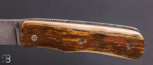    Couteau de poche Piémontais de Richard Ciachera - Ivoire de mammouth et damas