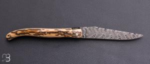    Couteau Laguiole en Aubrac 12 cm manche en ivoire de mammouth et damas de Markus Balbach