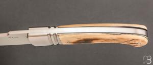    Couteau " Sonix " custom par Frédéric Augé - Mammouth et RWL34
