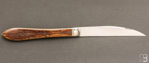 " La Princesse " par Bastien Toubhans - Atelier Beau Merle - Ivoire de Mammouth et RWL34