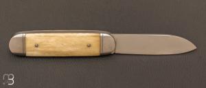 Couteau  "  Bouledogue" fait main par Laurent Gaillard - Os de chameau / 14C28N