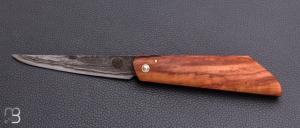    Couteau " Buissonnier " custom par Sourire Duville - Pommier et acier San-maï
