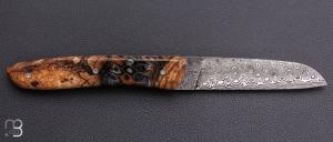    Couteau " L08 fruits des bois pièce unique" par Perceval - Lame damas