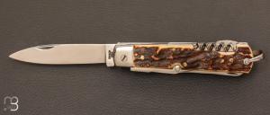 Couteau "  Vintage 5 pièces  " à pompe arrière en bois de cerf par Begon
