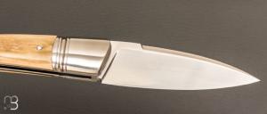     Couteau " Sonix " custom par Frédéric Augé - Mammouth et RWL34