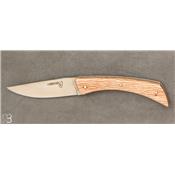 Spring lock live oak Ardéchois knife