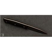 Couteau fixe Lionsteel B35.GBK G10 noir