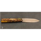 Couteau Plume Cactus stabilisé par Vent d'Aubrac - Jean Michel Cayron