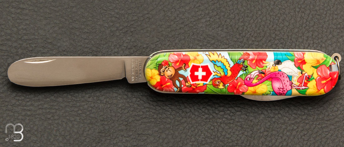 Couteau Suisse pour enfant Victorinox My First - PERROQUET 