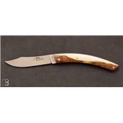 Couteau Le Thiers Pistachier - Cognet - 11CM