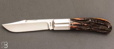   Couteau " Lanny's clip " de Ken Steigerwalt - Amber Stag et RWL34