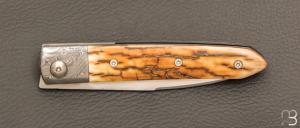    Couteau " Liner lock " par Grégory Picard - Ivoire de mammouth et S45VN