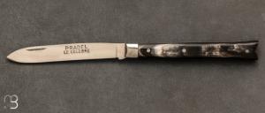 Couteau "queue de poisson" par Pradel le clbre - Corne grise