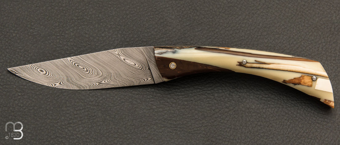 Couteau de poche Ardèchois de collection n°11 pulpe de mammouth et damas