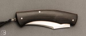 Couteau " custom " par Philippe Lemonnier - Fibre de carbone et lame en RWL34 