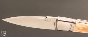     Couteau " Sonix " custom par Frédéric Augé - Mammouth et RWL34