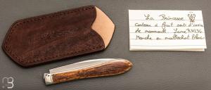 " La Princesse " par Bastien Toubhans - Atelier Beau Merle - Ivoire de Mammouth et RWL34