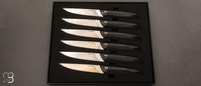 Coffret de 6 couteaux de table noirs Le Table 55 par LEPAGE - Polyacétal et 12C27