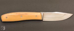 Couteau " liner lock " custom de David Lespect - Buis et C105